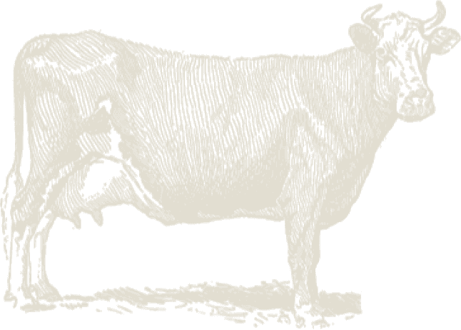 Pawęta logo