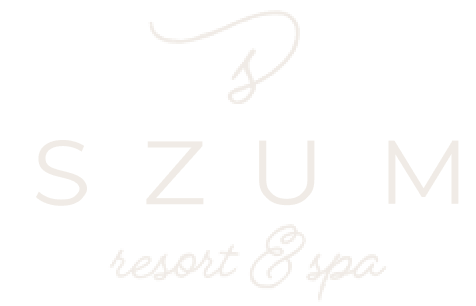 kd ventures logo