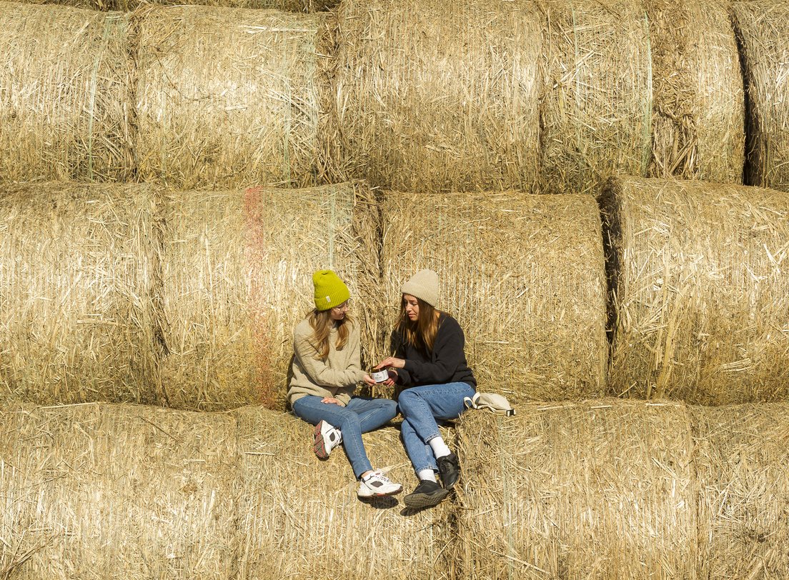 Inwestorzy na polu konopnym