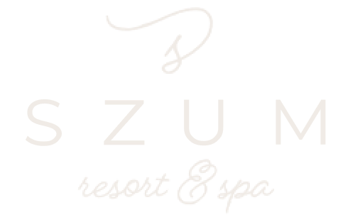 kd ventures logo